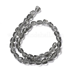 Handmade Lampwork Beads Strands&nbsp;LAMP-I022-27G