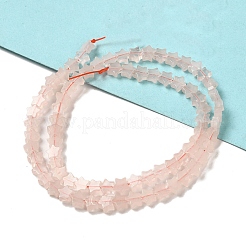 Natural Rose Quartz Beads Strands&nbsp;G-G085-B19-02