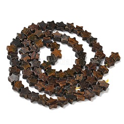 Natural Bronzite Beads Strands&nbsp;G-G085-B60-02