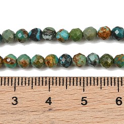 Natural HuBei Turquoise Beads Strands&nbsp;G-P629-A04-03