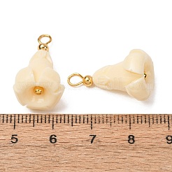 染色された合成サンゴペンダント  真鍮製のループが付いた花のチャーム  18KGP本金メッキ  湯通しアーモンド  22x13mm  穴：3mm&nbsp;GG-CBAC295-02G-03