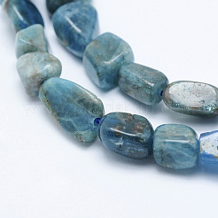 Natural Apatite Beads Strands&nbsp;LS-G-K203-13