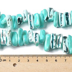 Dyed Natural Trochus Shell Beads Strands&nbsp;SSHEL-C013-09M