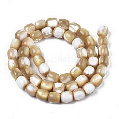 Natural Trochid Shell/Trochus Beads Strands&nbsp;SSHEL-N027-130B-02