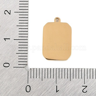 Ion Plating(IP) 304 Stainless Steel Pendants&nbsp;STAS-C108-10G-1