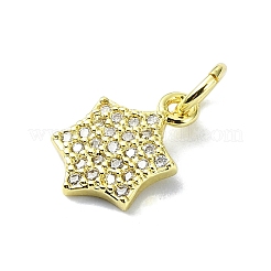 Brass Micro Pave Clear Cubic Zirconia Charms&nbsp;KK-H475-59G-05