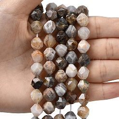 Natural Bamboo Leaf Agate Beads Strands&nbsp;G-Z119-A27-03