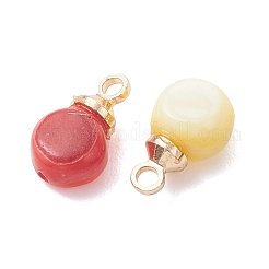 Dyed Natural Freshwater Shell Pendants&nbsp;PALLOY-JF05241