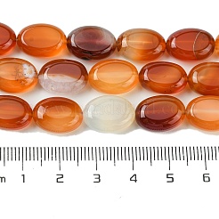天然赤瑪瑙（染色・加熱）ビーズ連売り  フラットオーバル  14x10~10.5x6~6.5mm  穴：1mm  約29個/連  15.94''（40.5センチメートル）&nbsp;G-K365-B02-01