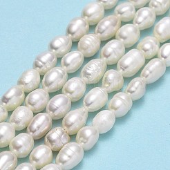 天然養殖淡水パールビーズ連売り  ライス  リネン  5.5~6.5x4~4.5mm  穴：0.5mm  約68~69個/連  15.35''~15.55