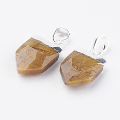 Natural Gemstone Pendants&nbsp;G-G737-15