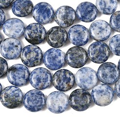 Natural Blue Spot Jasper Beads Strands&nbsp;G-L648-B08-15mm
