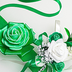 Polyester Ribbons&nbsp;OCOR-WH20018-30B