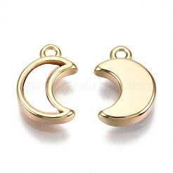 Natural Sea Shell Charms&nbsp;KK-S354-264-NF