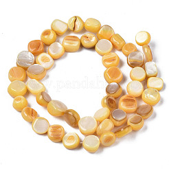 Natural Trochid Shell/Trochus Shell Beads Strands&nbsp;SHEL-S258-083-B11