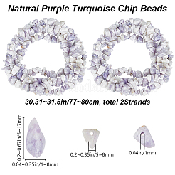 2 Strands Natural Purple Turquoise Beads Strands&nbsp;G-BBC0001-45
