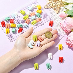 40 個 8 色の手作り磁器ビーズ  歯状  光沢釉の磁器  トップ掘削  ミックスカラー  20x13x12mm  穴：2.5mm  5個/カラー&nbsp;PORC-CJ0001-37