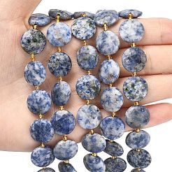 Natural Blue Spot Jasper Beads Strands&nbsp;G-A292-A10-01