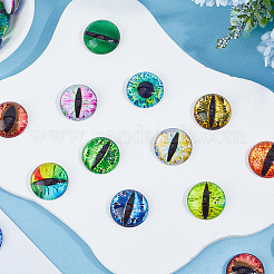 40Pcs 20 Styles Glass Cabochons&nbsp;GGLA-SP0001-05
