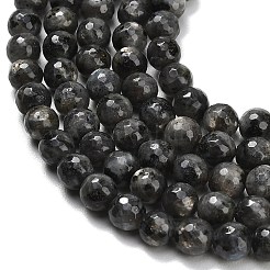 Natural Larvikite Beads Strands&nbsp;G-C280-B06-8mm