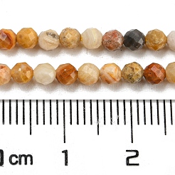 Natural Crazy Lace Agate Beads Strands&nbsp;G-A129-3mm-17