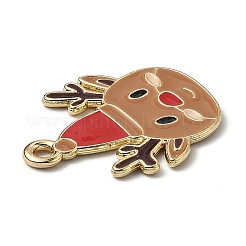 Alloy Enamel Pendants&nbsp;ENAM-Z001-03G-A