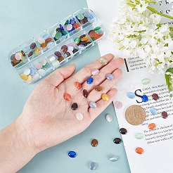 144Pcs 12 Colors Cat Eye Cabochons&nbsp;CE-PH0001-02
