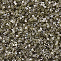 MIYUKIデリカビーズ  シリンダー  日本製シードビーズ  11/0  （染めたサボテンabの中のdb1876)シルク  1.3x1.6mm  穴：0.8mm  約2000PCS /ボトル  10 G /ボトル&nbsp;SEED-JP0008-DB1876