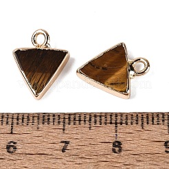 Natural Tiger Eye Pendants&nbsp;G-Q606-103G-03