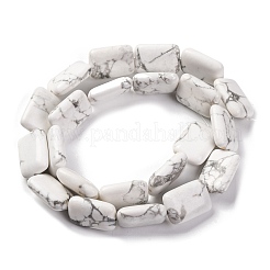 Natural Howlite Beads Strands&nbsp;G-T047-B28-20