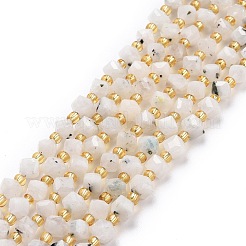 Natural Rainbow Moonstone Beads Strands&nbsp;G-P463-15