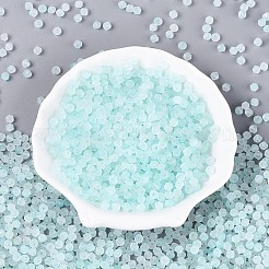 Frosted Glass Seed Beads&nbsp;SEED-N012-01C