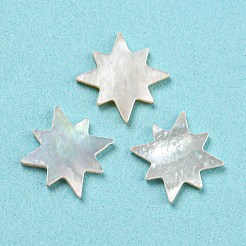 ナチュラルシーシェルカボション  スター  ホワイト  9.5x9.5x1mm&nbsp;SHEL-D079-12