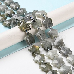 天然石ラブラドライトビーズ連売り  シードビーズで  膨らんだ星  14~15.5x15~16x6.5~7mm  穴：1mm  約24~25個/連  15.55''~15.95''（39.5~40.5センチメートル）&nbsp;G-NH0005-020