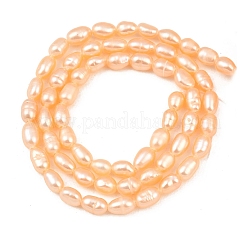 天然養殖淡水パールビーズ連売り  ライス  グレード3 A  ピンク  4~4.5mm  穴：0.5mm  約62~81個/連  13.19~13.98''（33.5~35.5センチメートル）&nbsp;PEAR-F020-26B