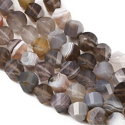 Natural Botswana Agate Beads Strands&nbsp;G-P611-C08-01