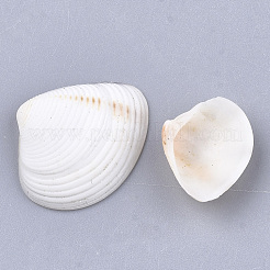 クラムシェルビーズ  ドリルなし/穴なしビーズ  フローラルホワイト  14~20x17~26x5~6mm  約530~590個/500g&nbsp;SSHEL-S258-49
