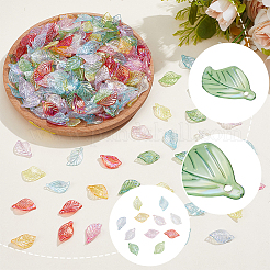 100Pcs Transparent Acrylic Pendants&nbsp;MACR-SC0002-68