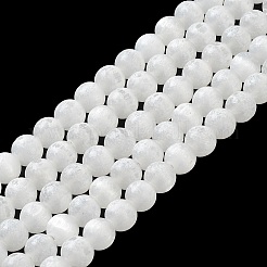 Natural Selenite Beads Strands&nbsp;G-F706-12B-02C