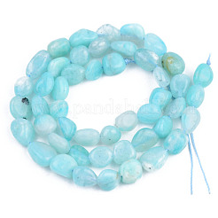 Natural Amazonite Beads Strands&nbsp;G-S359-154