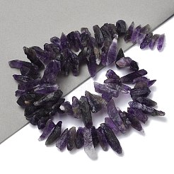Natural Amethyst Beads Strands&nbsp;G-B169-A01