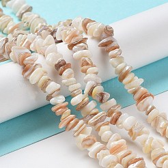 Natural Shell Beads Strands&nbsp;G-F328-45