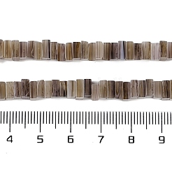 Handmade Lampwork Beads Strands&nbsp;LAMP-Q037-02B-13