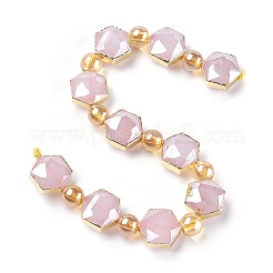 Opaque Glass Beads Strands&nbsp;EGLA-P045-A11