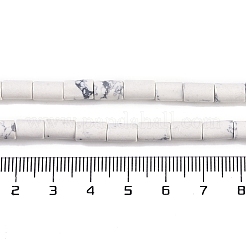 Natural Howlite Beads Strands&nbsp;G-C128-A37-01