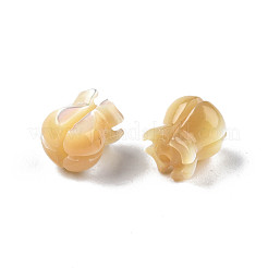 Natural Trochid Shell/Trochus Shell Beads&nbsp;SSHEL-N003-145A-A01