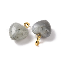Natural Labradorite Pendants&nbsp;G-I311-A03-G