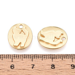 Alloy Charms&nbsp;PALLOY-N179-19MG