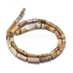 Natural Picture Jasper Beads Strands&nbsp;G-F631-E07