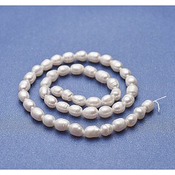 Natural Cultured Freshwater Pearl Beads Strands&nbsp;PEAR-P060-12